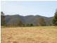 549 Yankees Gap Road, Bemboka NSW 2550