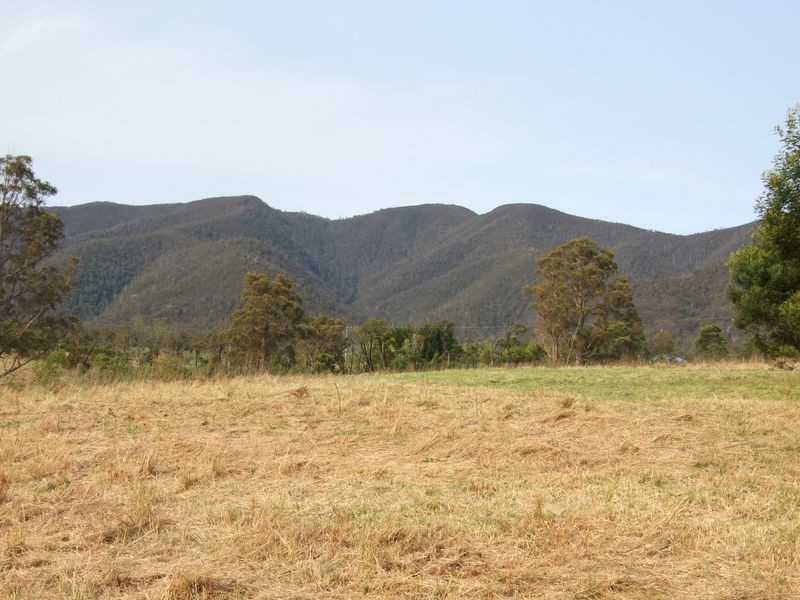549 Yankees Gap Road, Bemboka NSW 2550