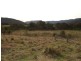549 Yankees Gap Road, Bemboka NSW 2550