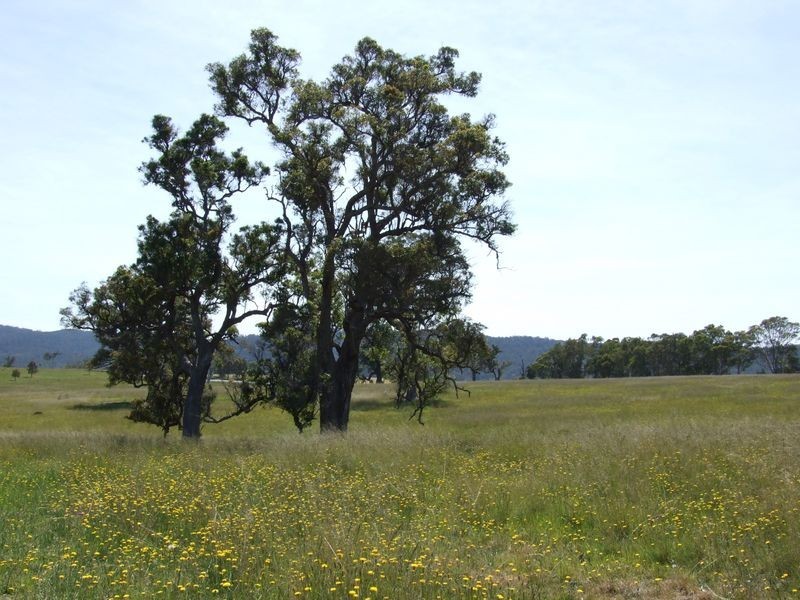 Lot 14 Newlyns Estate, Bega NSW 2550