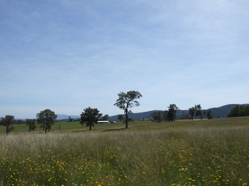 Lot 14 Newlyns Estate, Bega NSW 2550