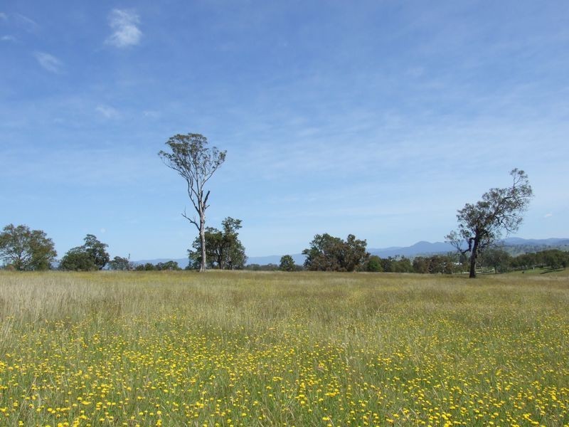 Lot 15 Newlyns Estate, Bega NSW 2550