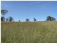 Lot 15 Newlyns Estate, Bega NSW 2550