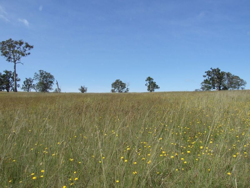 Lot 15 Newlyns Estate, Bega NSW 2550