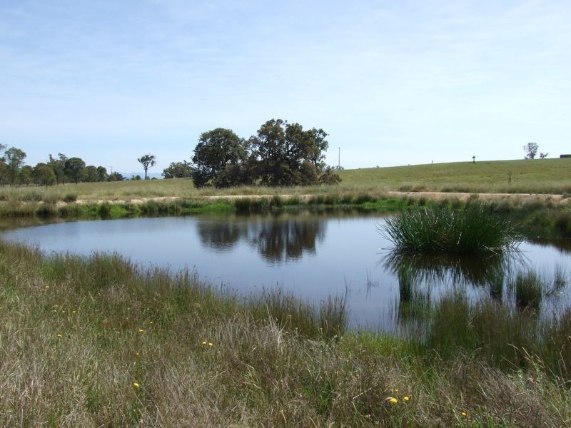 Lot 15 Newlyns Estate, Bega NSW 2550
