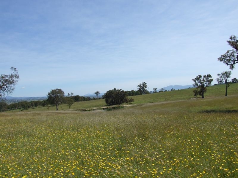 Lot 15 Newlyns Estate, Bega NSW 2550