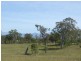 Lot 16 Newlyns Estate, Bega NSW 2550