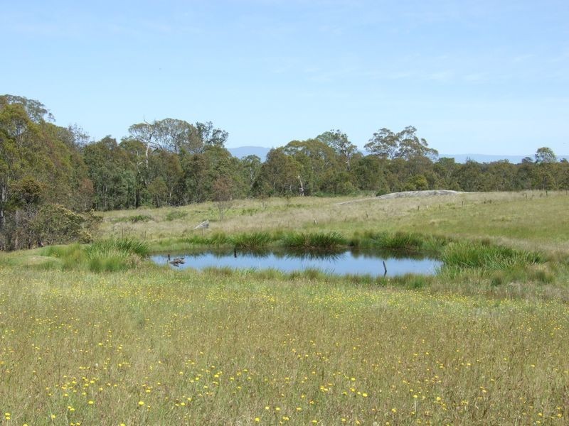 Lot 16 Newlyns Estate, Bega NSW 2550