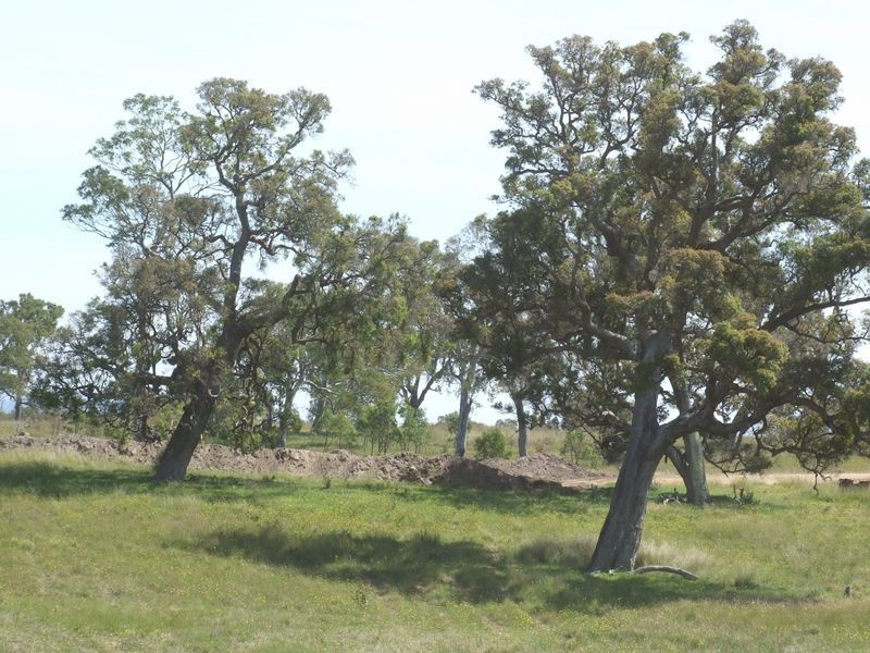 Lot 17 Newlyns Estate, Bega NSW 2550