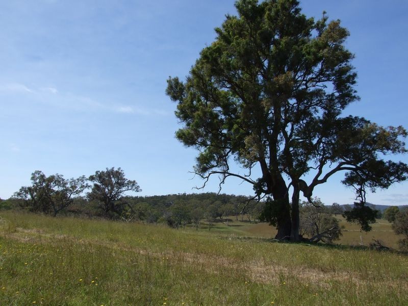 Lot 18 Newlyns Estate, Bega NSW 2550