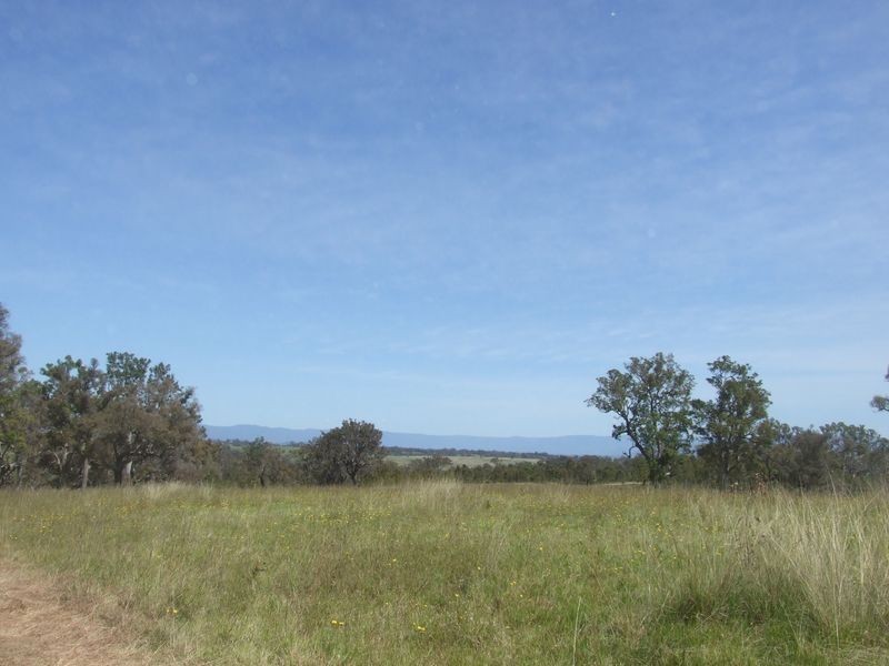 Lot 18 Newlyns Estate, Bega NSW 2550