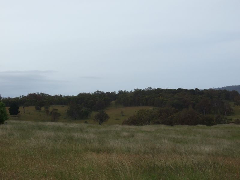 ‘AYR PARK’ Wanatta Lane, Bega NSW 2550