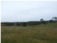 ‘AYR PARK’ Wanatta Lane, Bega NSW 2550