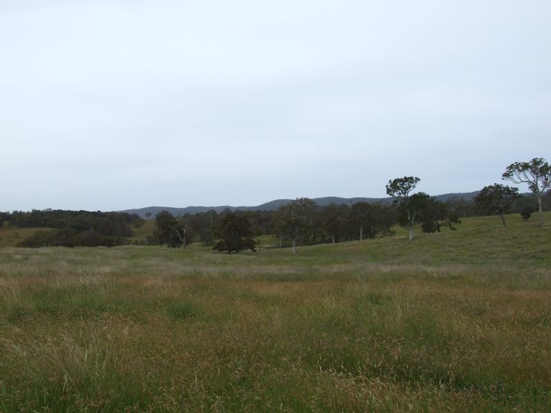 ‘AYR PARK’ Wanatta Lane, Bega NSW 2550