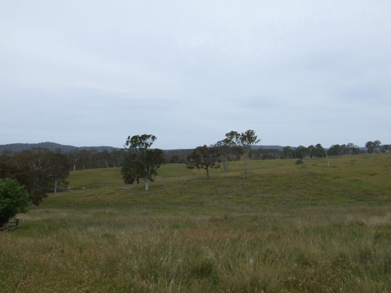‘AYR PARK’ Wanatta Lane, Bega NSW 2550