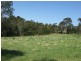 Lots 61&62 Quinlans Road, Cobargo NSW 2550