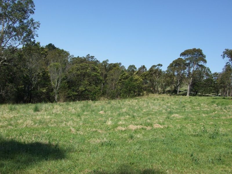 Lots 61&62 Quinlans Road, Cobargo NSW 2550