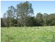 Lots 61&62 Quinlans Road, Cobargo NSW 2550