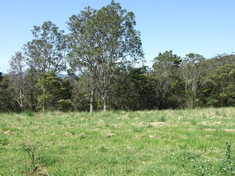 Lots 61&62 Quinlans Road, Cobargo NSW 2550
