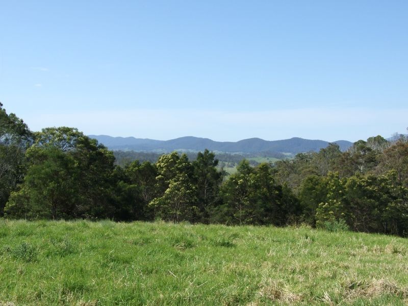 Lots 61&62 Quinlans Road, Cobargo NSW 2550