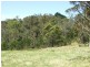 Lots 61&62 Quinlans Road, Cobargo NSW 2550
