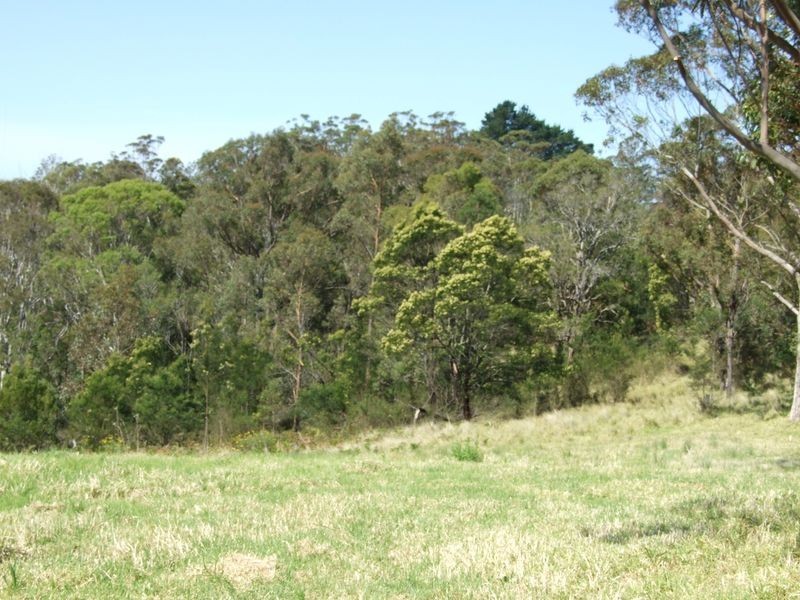 Lots 61&62 Quinlans Road, Cobargo NSW 2550