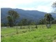 Lots 61&62 Quinlans Road, Cobargo NSW 2550