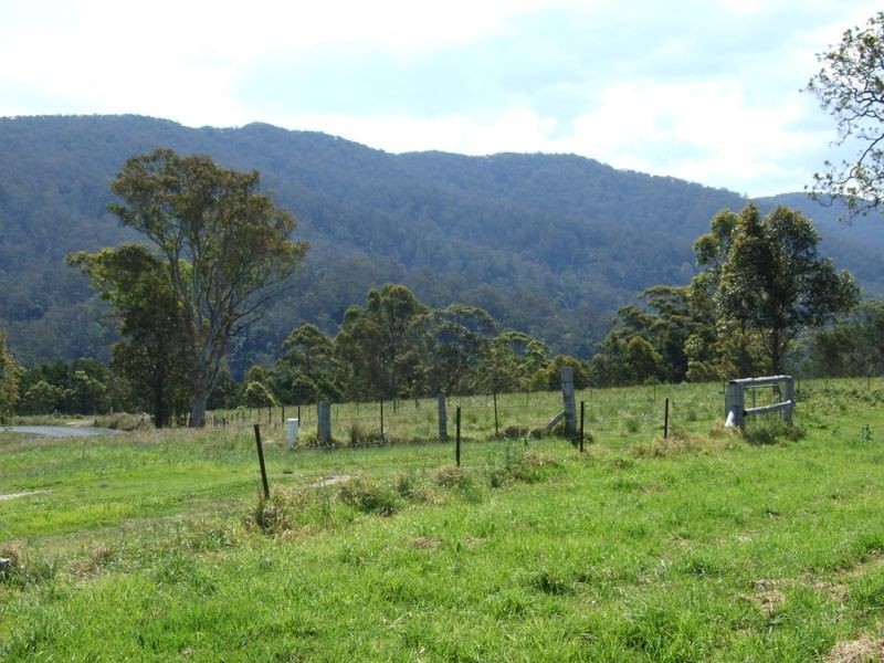 Lots 61&62 Quinlans Road, Cobargo NSW 2550