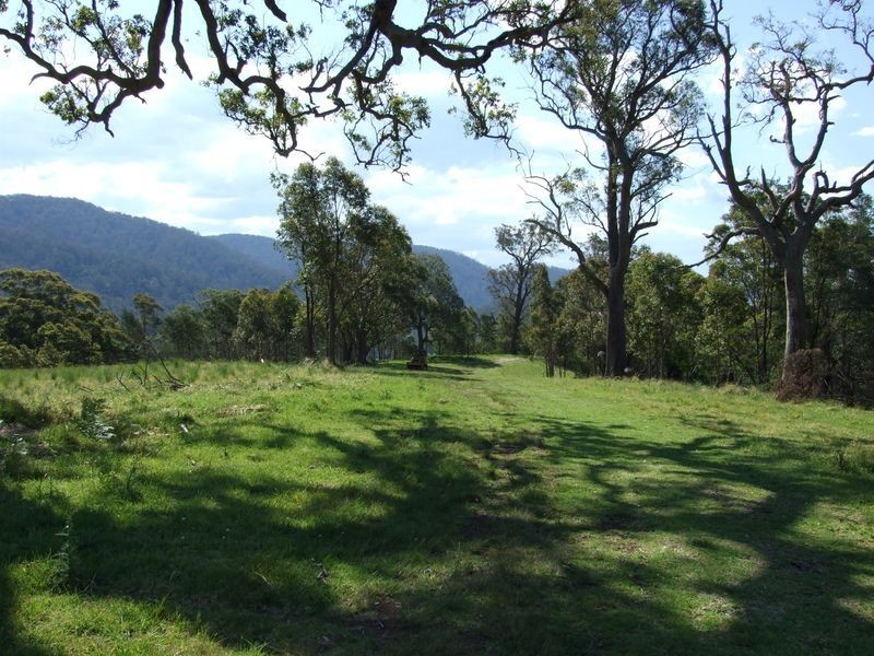 Lots 61&62 Quinlans Road, Cobargo NSW 2550