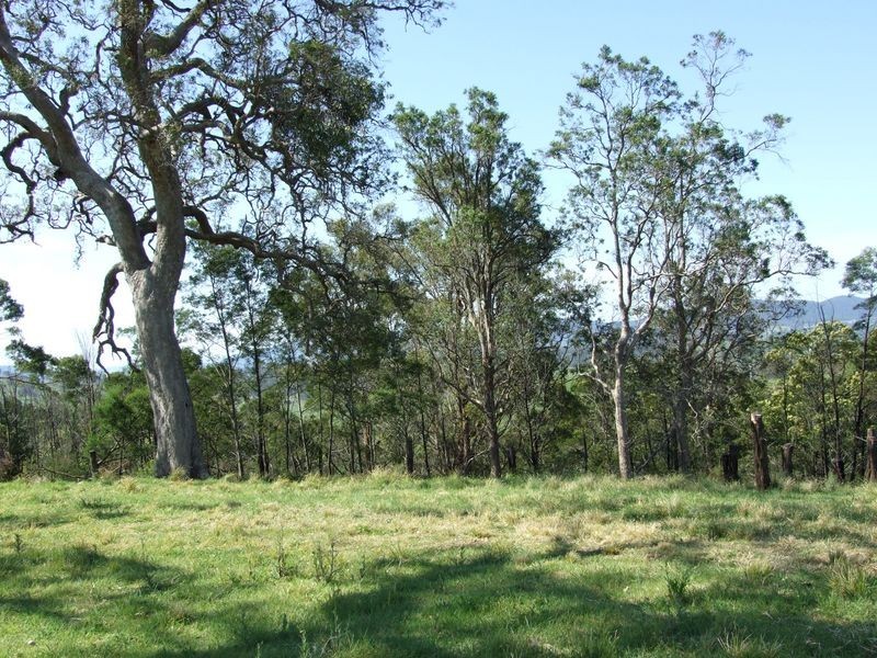 Lots 61&62 Quinlans Road, Cobargo NSW 2550