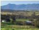 1005 Furners Road, Bemboka NSW 2550