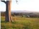 1005 Furners Road, Bemboka NSW 2550