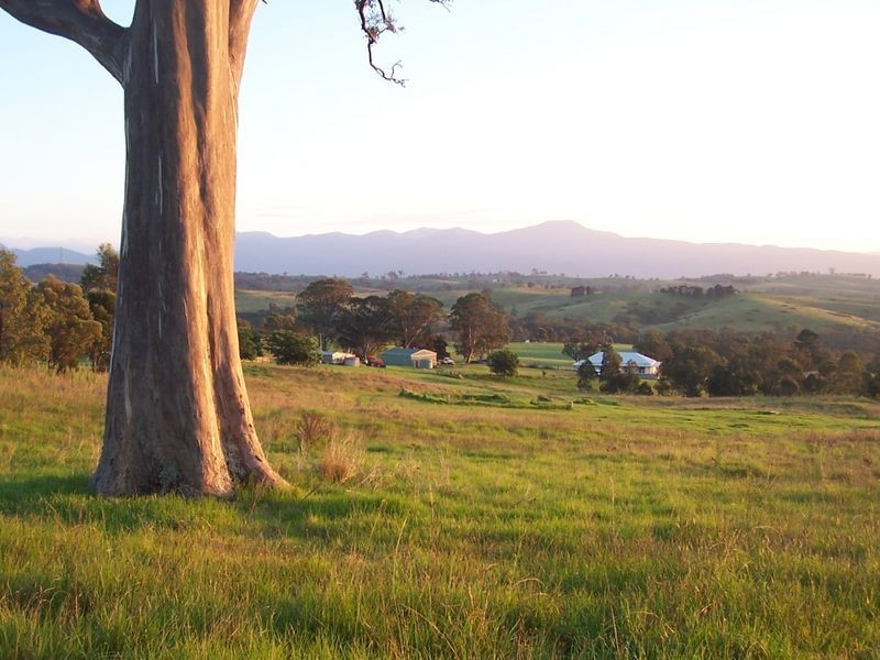 1005 Furners Road, Bemboka NSW 2550
