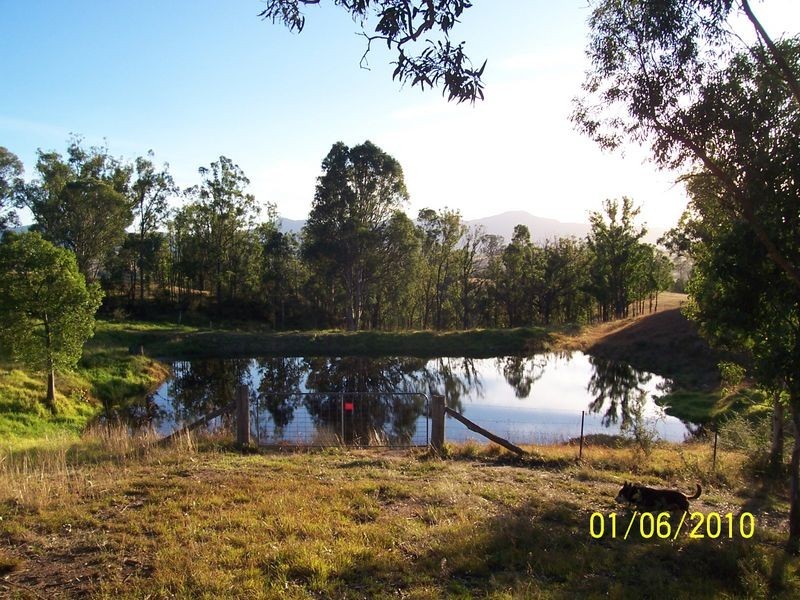 1005 Furners Road, Bemboka NSW 2550