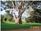 1005 Furners Road, Bemboka NSW 2550