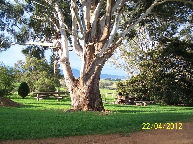 1005 Furners Road, Bemboka NSW 2550