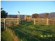 1005 Furners Road, Bemboka NSW 2550