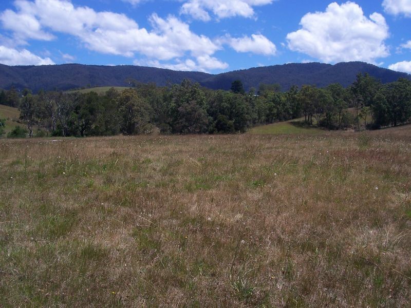 Lot 13 Furners Road, Bemboka NSW 2550