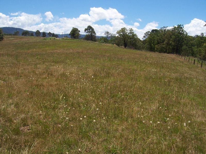 Lot 13 Furners Road, Bemboka NSW 2550