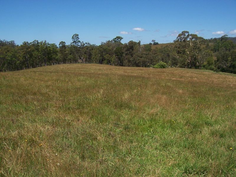 Lot 13 Furners Road, Bemboka NSW 2550