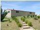 371 Towridgee Lane, Candelo NSW 2550