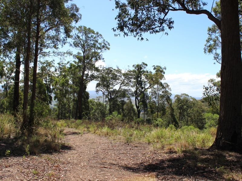 Lot 150 Doctor George Mountain Road, Bega NSW 2550