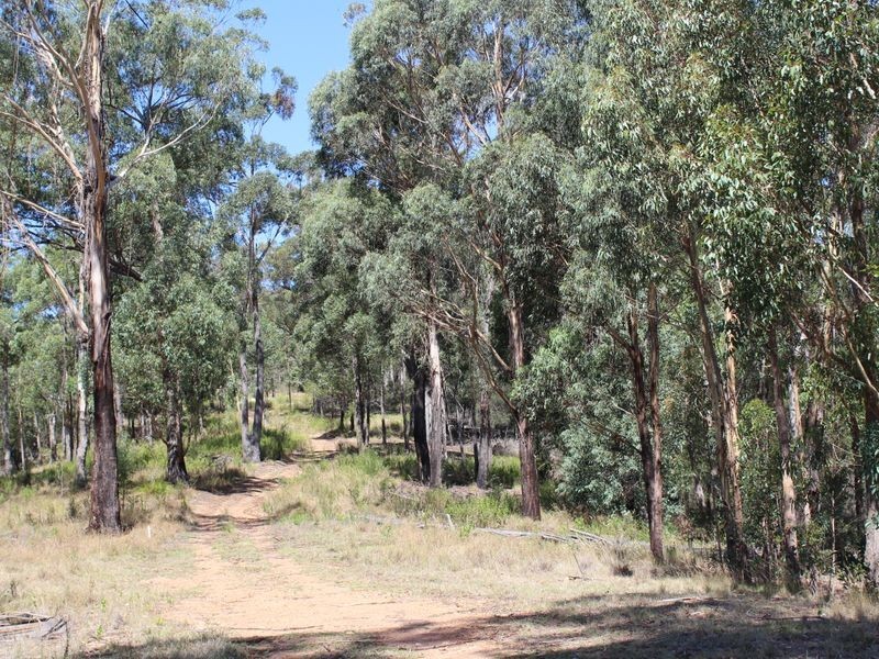 Lot 150 Doctor George Mountain Road, Bega NSW 2550