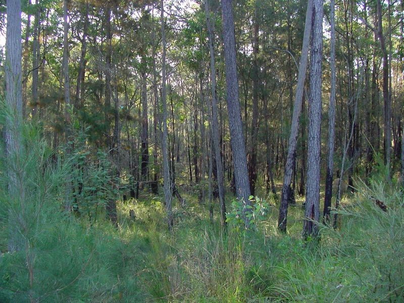 Lot 155 Strathmore Crescent, Kalaru NSW 2550