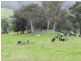 Brogo NSW 2550