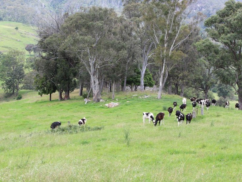 Brogo NSW 2550