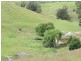 Brogo NSW 2550
