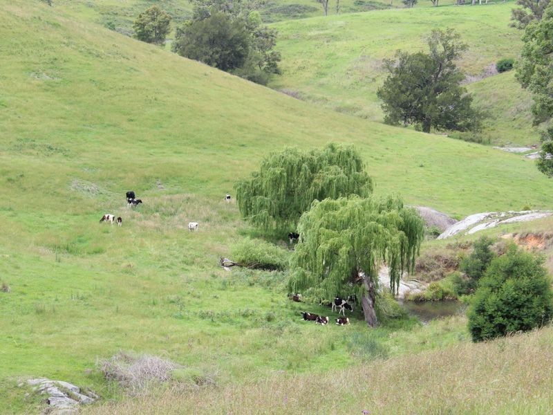 Brogo NSW 2550