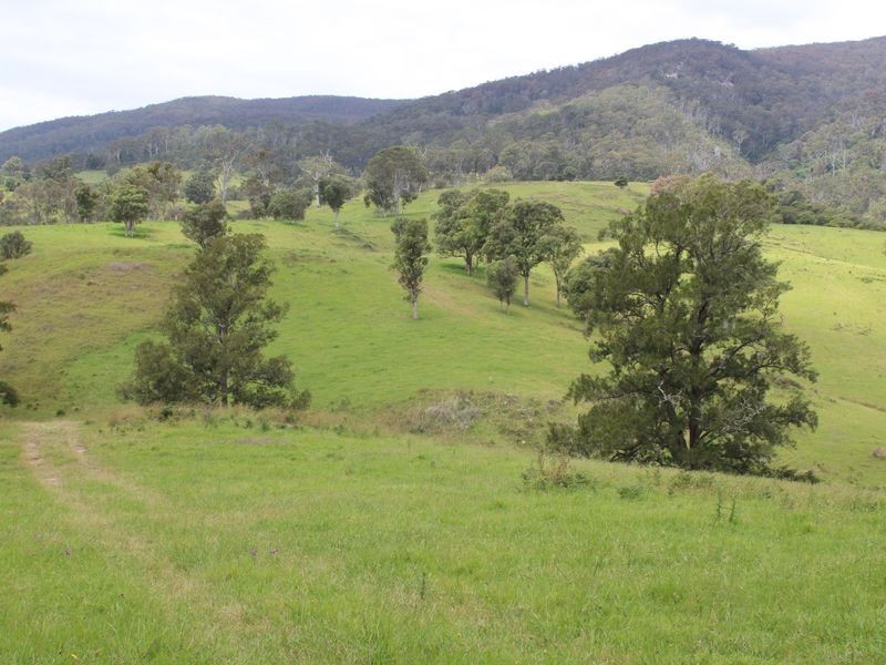 Brogo NSW 2550