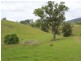 Brogo NSW 2550